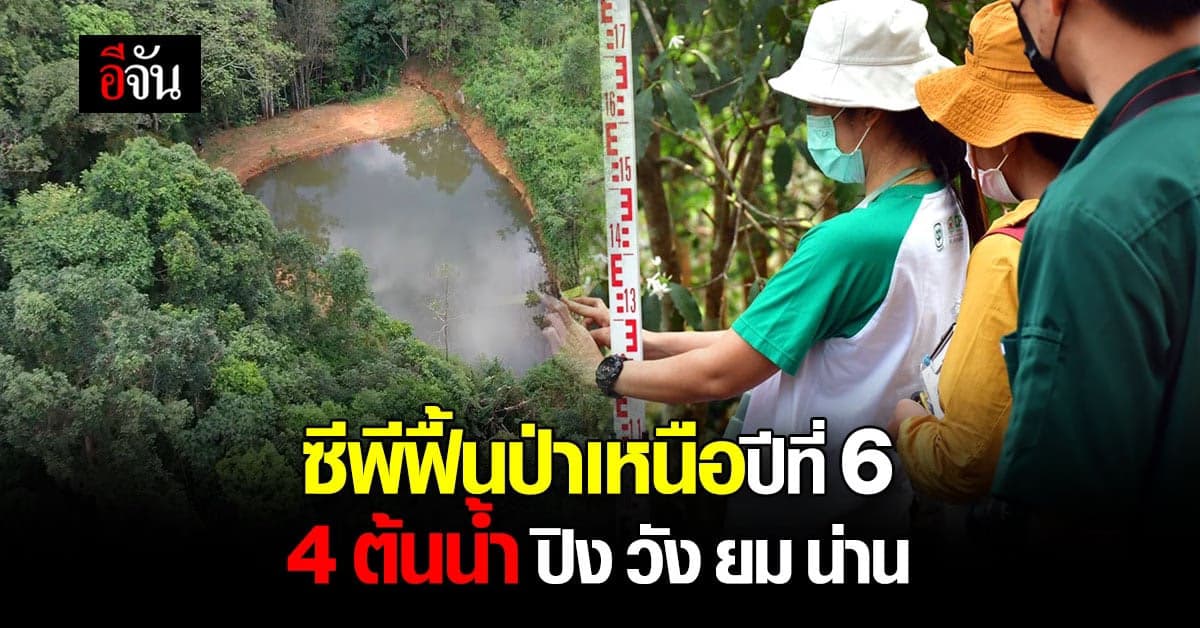 ซีพี เดินหน้าฟื้นป่าเหนือ 4 ต้นน้ำ ปิง วัง ยม น่าน ต่อเนื่องสู่ปีที่ 6