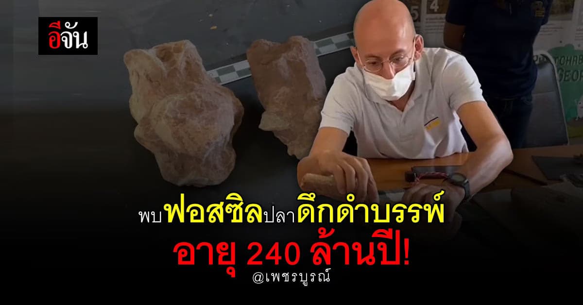 อึ้งอีกแล้ว! จ.เพชรบูรณ์ พบเพิ่มอีก ฟอสซิลปลา อายุ 240 ล้านปี