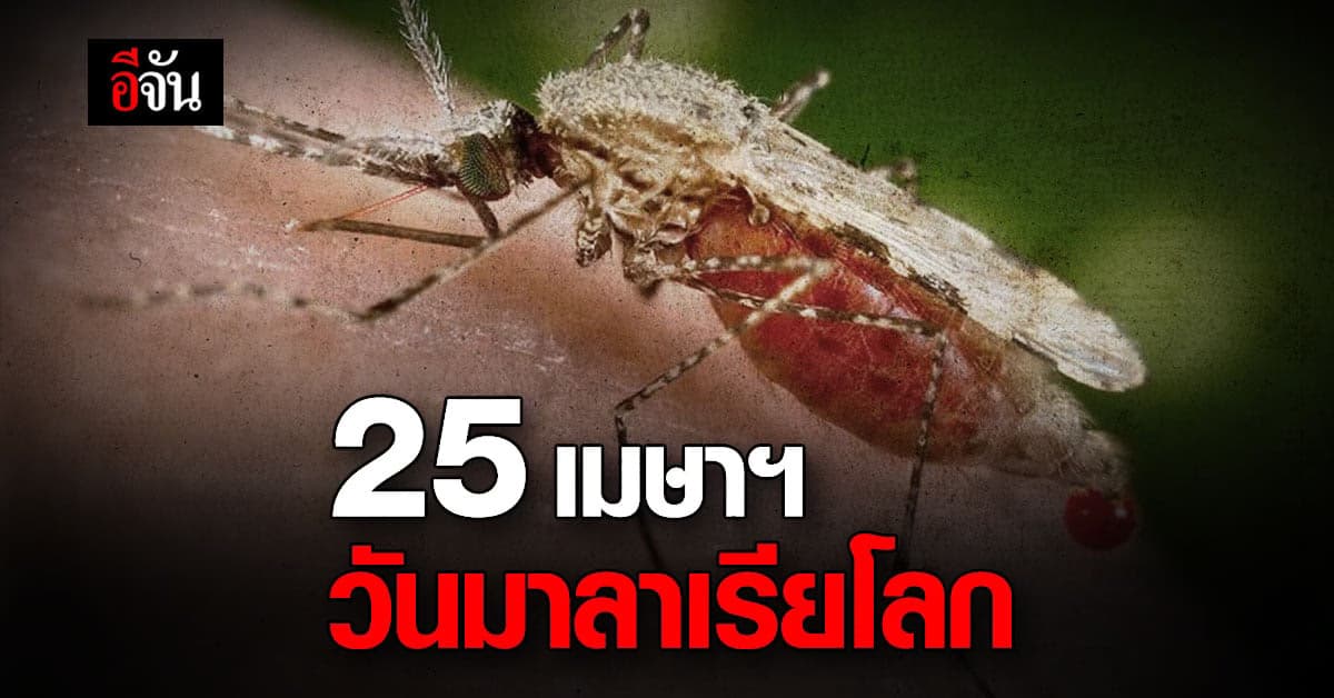 25 เมษายนทุกปี องค์กรอนามัยโลก กำหนดให้เป็น วันมาลาเรียโลก