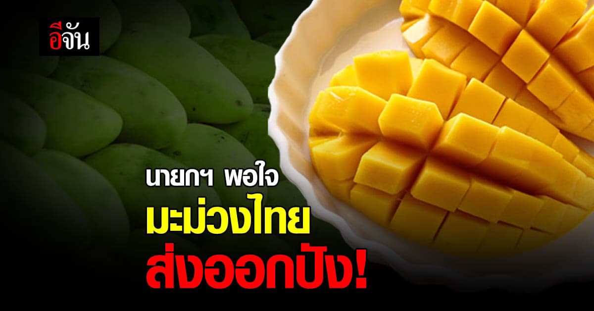 นายกฯ พอใจมะม่วงไทย ส่งออกอันดับ 7 ของโลก และ อันดับ 2 ในอาเซียน