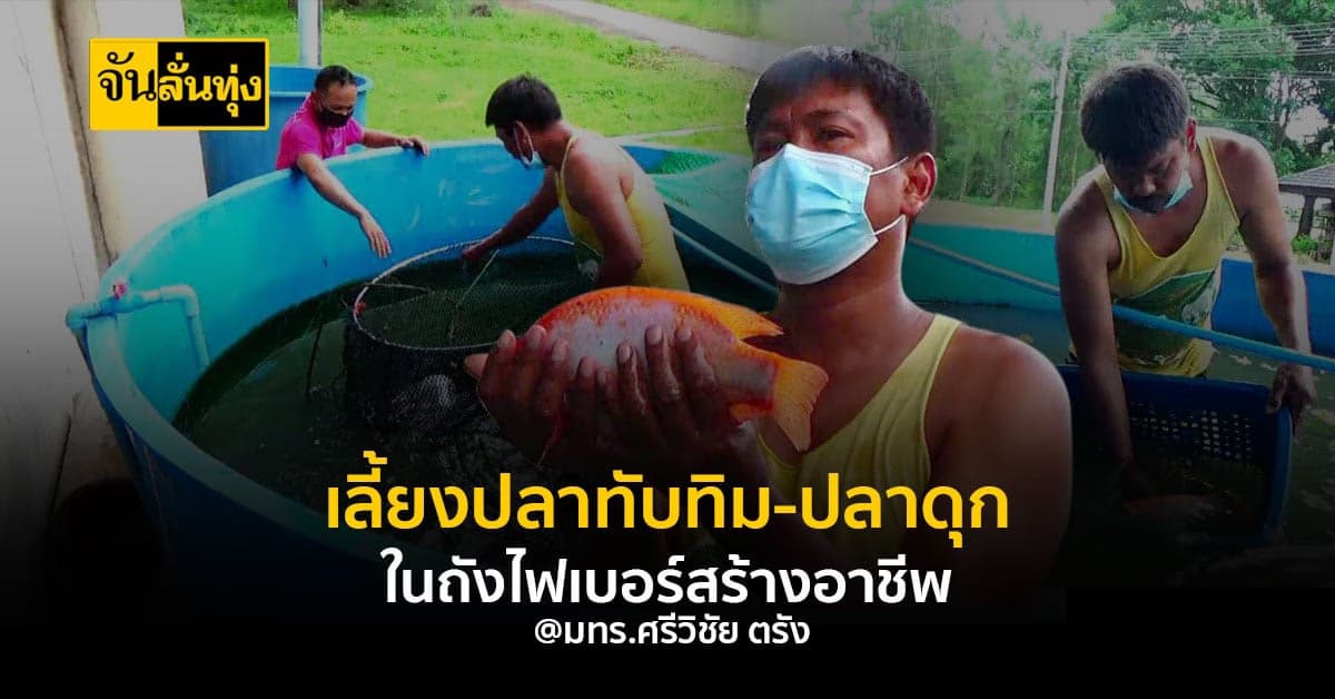 มทร.ศรีวิชัย เลี้ยงปลาทับทิม-ปลาดุกในถังไฟเบอร์ เพื่อสร้างรายได้