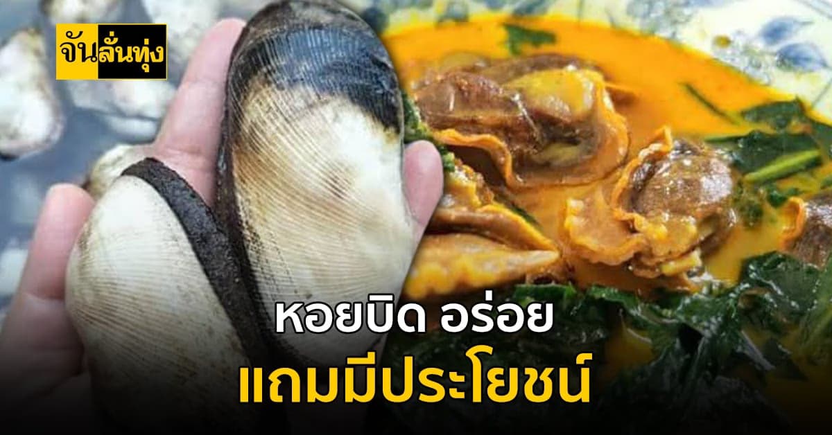 รู้จักกันไหม? หอยบิด ของอร่อย แถมมีประโยชน์จากท้องทะเล