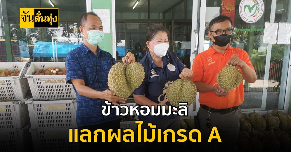 แนวคิดใหม่ช่วยเกษตรกร! เอา ข้าวเปลือกหอมมะลิ แลกผลไม้เกรด A