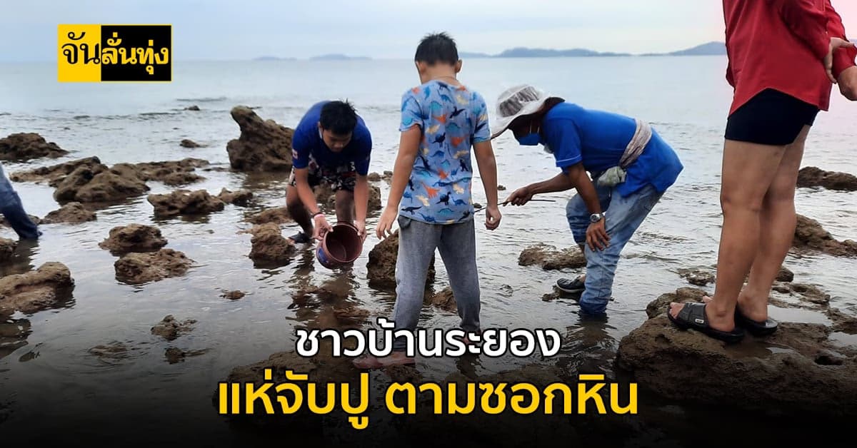 ชาวระยอง ออก ตกปู หลังหยุดช่วงวันแรงงราน