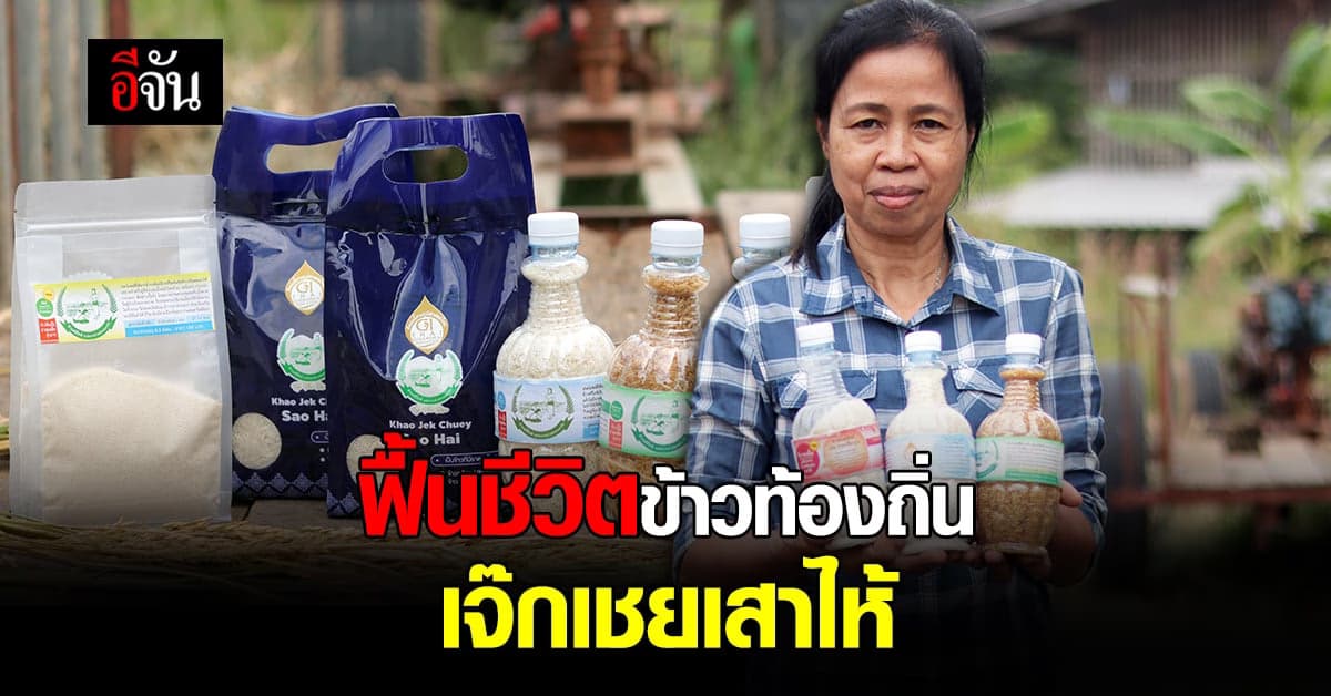 ข้าวพันธุ์ท้องถิ่น ฟื้นชีวิตข้าวท้องถิ่น เจ๊กเชยเสาไห้ จ.สระบุรี