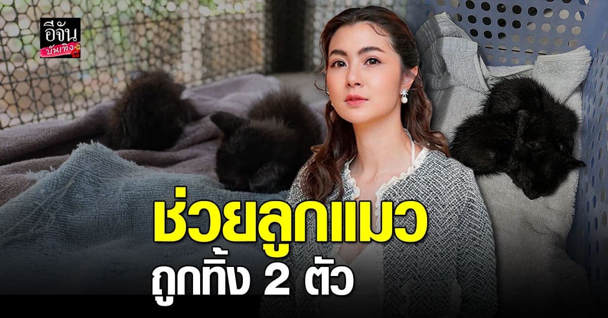 จ๊ะจ๋า พริมรตา เล่าเหตุการณ์เจอลูกแมวโดนทิ้งไวหน้าบ้าน