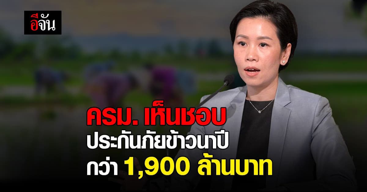 ครม. เห็นชอบโครงการประกันภัยข้าวนาปี วงเงิน 1,925.07 ล้านบาท