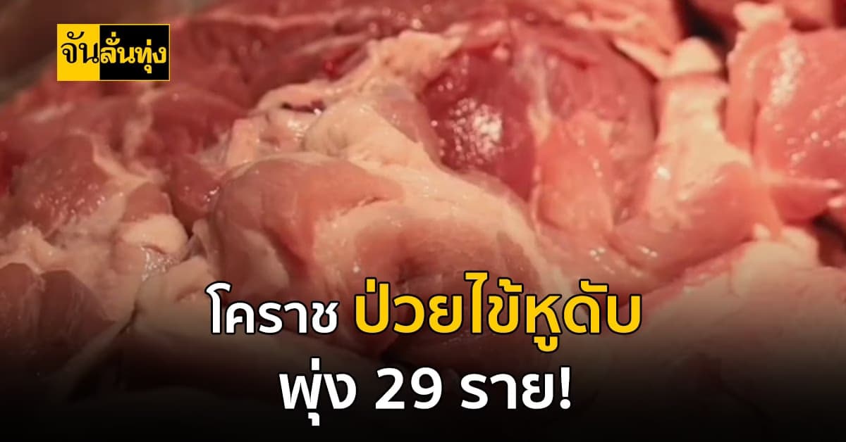 โคราช ป่วย โรคไข้หูดับ สูงสุดในประเทศ เตือนประชาชน! ห้ามกินหมูดิบ