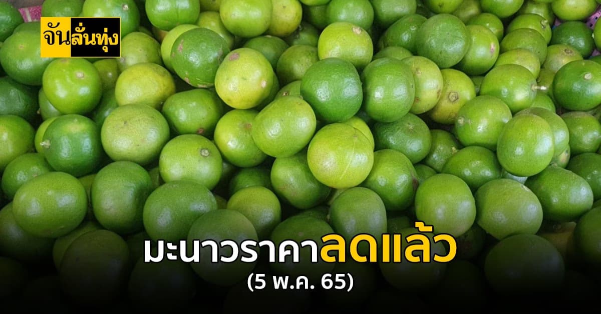 ข่าวดีของลูกค้า ล่าสุด มะนาว ราคาลง แล้ว