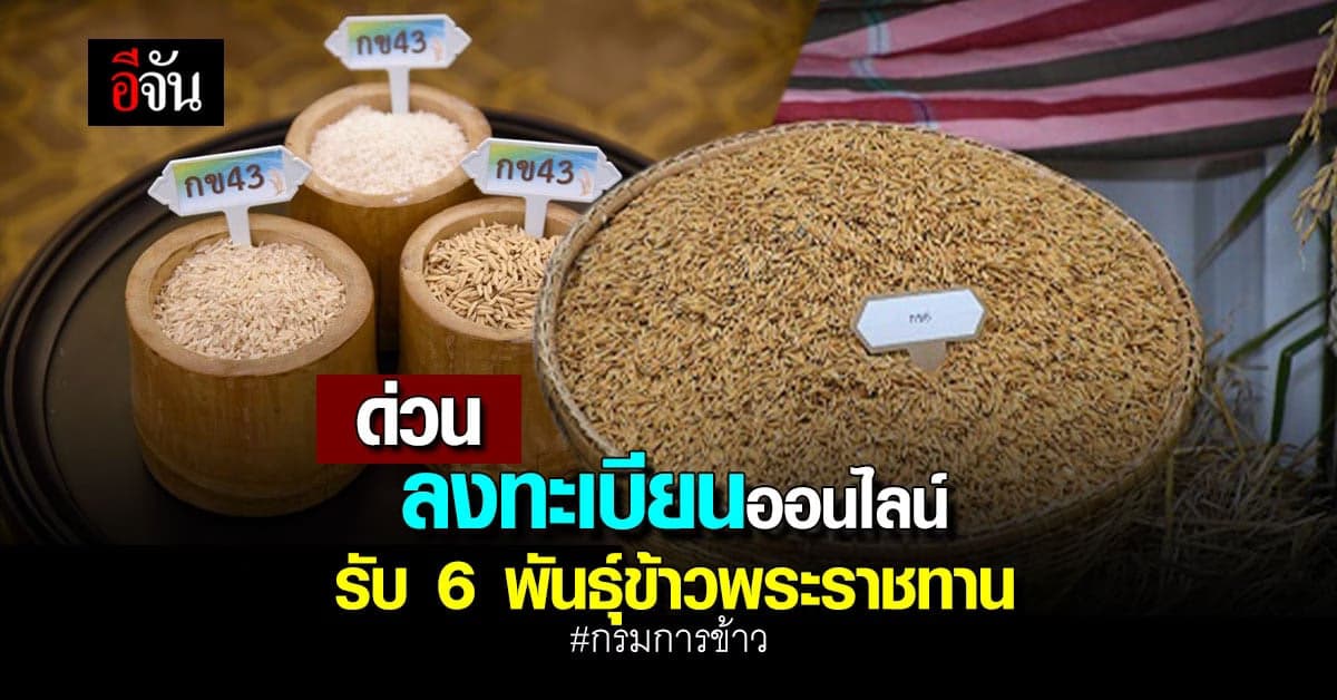 ด่วน ! เตรียมเลย รับเมล็ดพันธุ์ ข้าวพระราชทาน ผ่านการ ลงทะเบียนออนไลน์