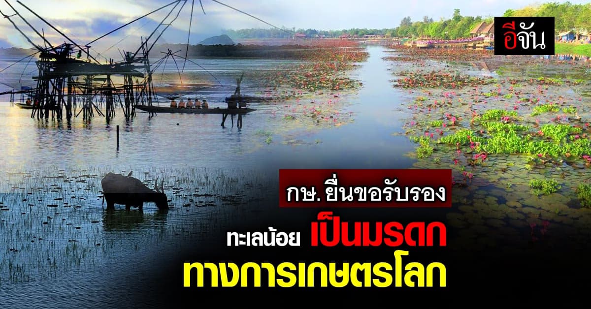 กษ. ยื่น FAO ขอรับรอง ทะเลน้อย จ.พัทลุง เป็น มรดกทางการเกษตรโลก