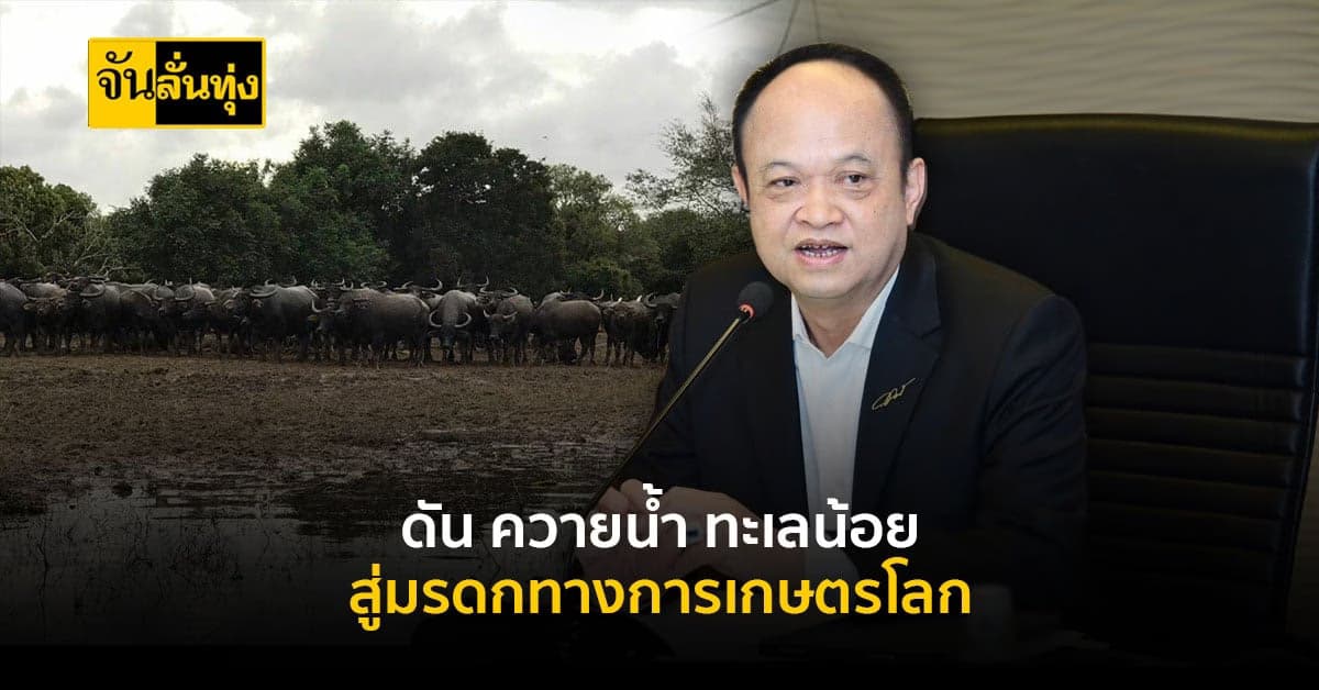 กระทรวงเกษตร ดัน ควายน้ำ ทะเลน้อย เป็น มรดกทางการเกษตรโลก