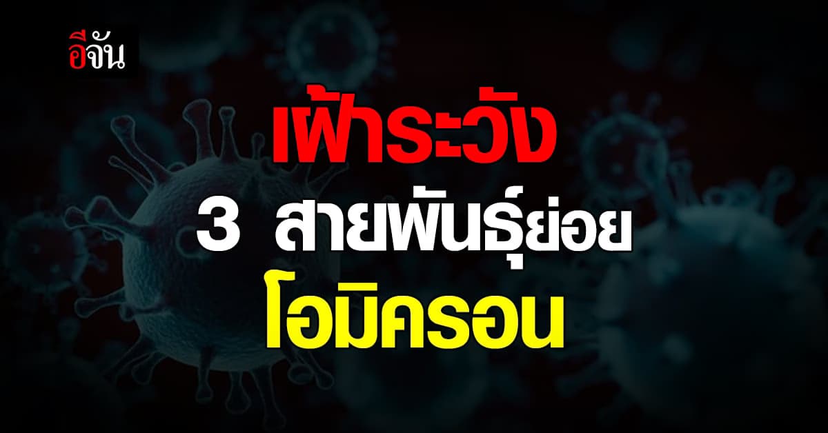 สธ. เฝ้าระวัง 3 สายพันธุ์ย่อย โอมิครอน ย้ำ วัคซีนเสริมภูมิตามธรรมชาติ