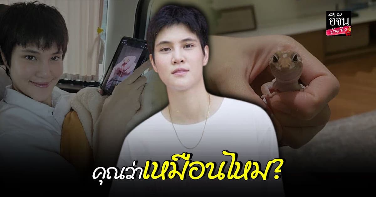 หมอเจี๊ยบ โพสต์ถาม เหมือนไหม? หลังแฟนสาวทักหน้าเหมือนตุ๊กแก