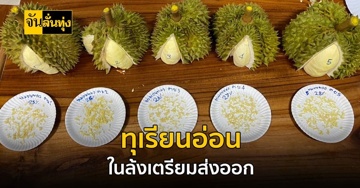 เพื่อคุณภาพของทุเรียนไทย! จนท. จ.จันทบุรี บุกตรวจ ทุเรียน ในล้งส่งออก