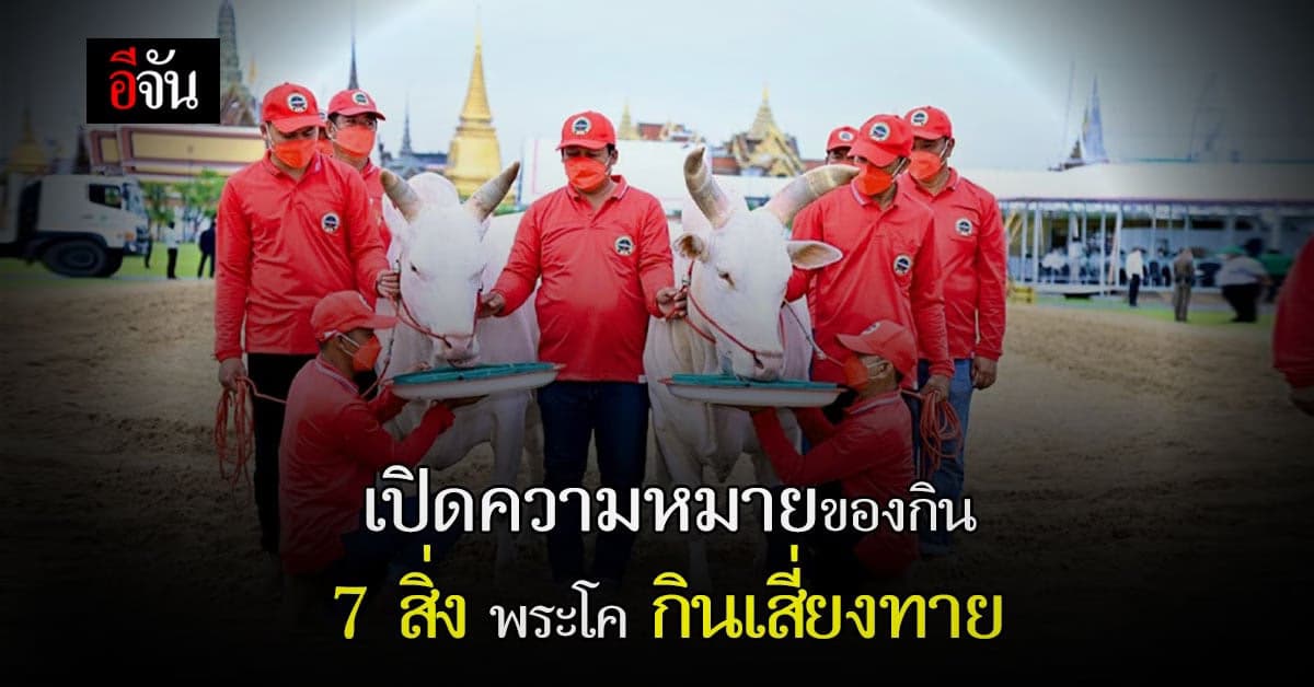 ความหมายของกิน 7 สิ่ง พระโค กินเสี่ยงทาย