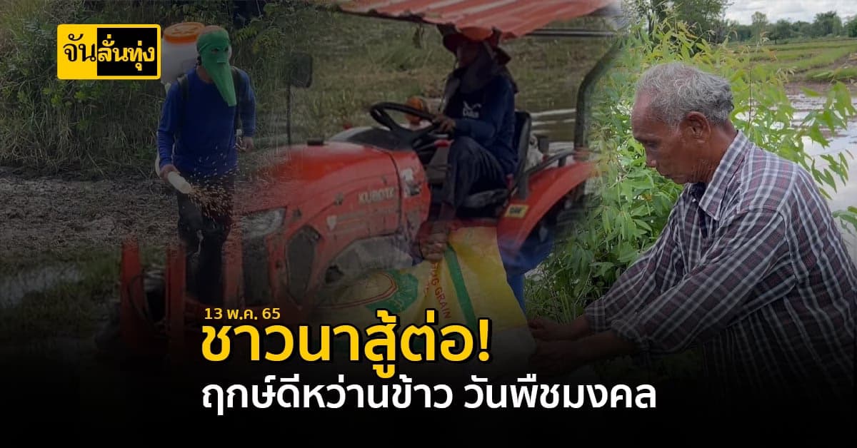 สู้กันต่อไป! ชาวนาถือฤกษ์ดี วันพืชมงคล หว่านข้าว ลงแปลงนา