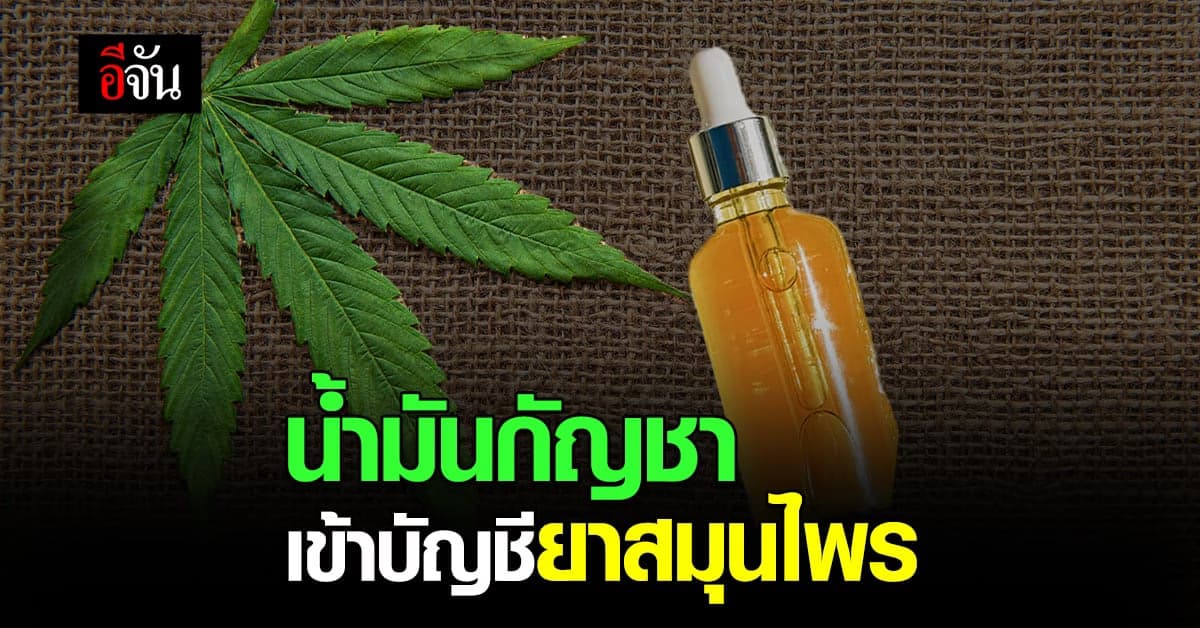 ข่าวดี น้ำมันสารสกัดกัญชา เข้า บัญชียาหลักแห่งชาติ ด้านสมุนไพร