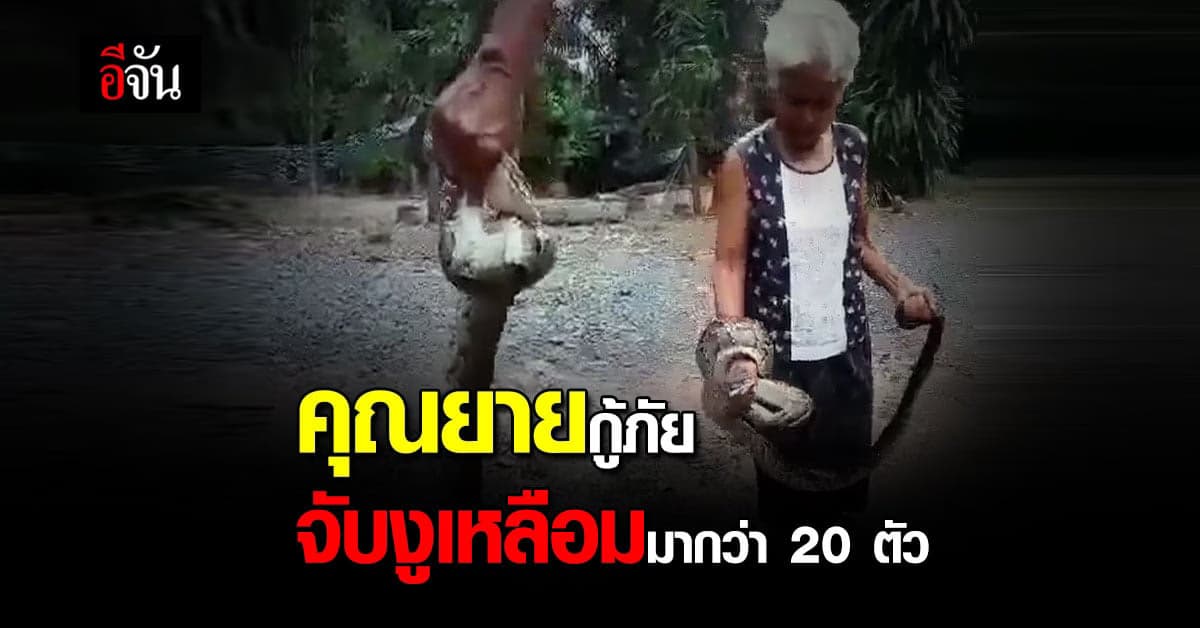 คุณยายใจเด็ด จับงูเหลือมด้วยมือเปล่า จนได้ฉายา กู้ภัยประจำหมู่บ้าน