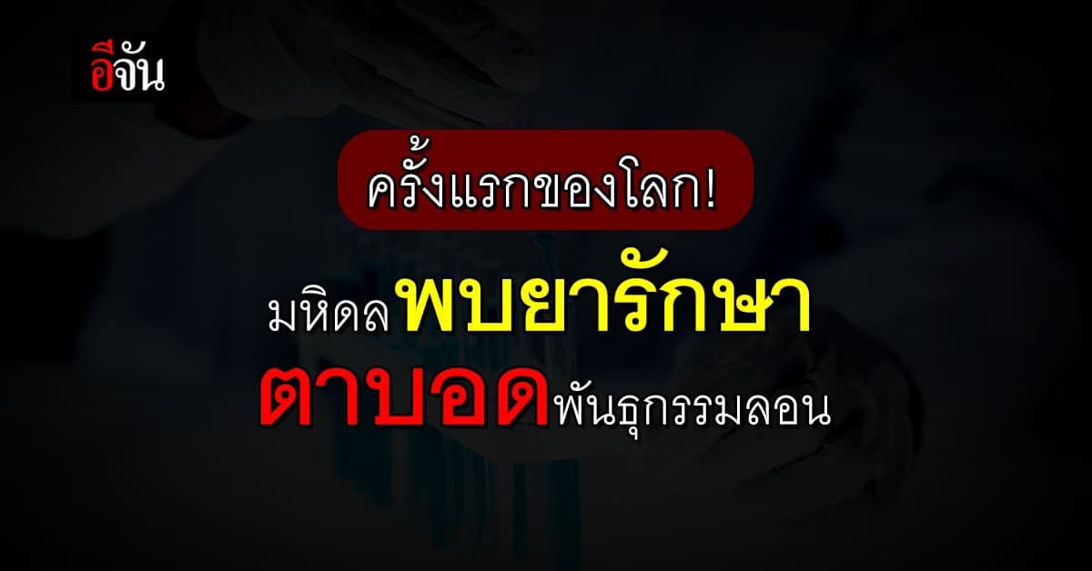 สุดเจ๋ง มหิดล ค้นพบ ยารักษา ตาบอดพันธุกรรมลอน