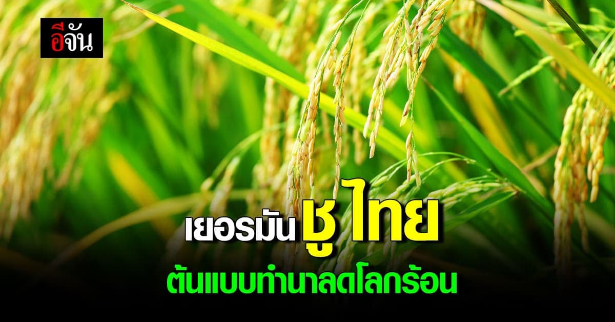 นายกฯ ยินดี เยอรมนี ชู “ไทย ไรซ์ นามา” ต้นแบบ ทำนาลดโลกร้อน ที่ยั่งยืน