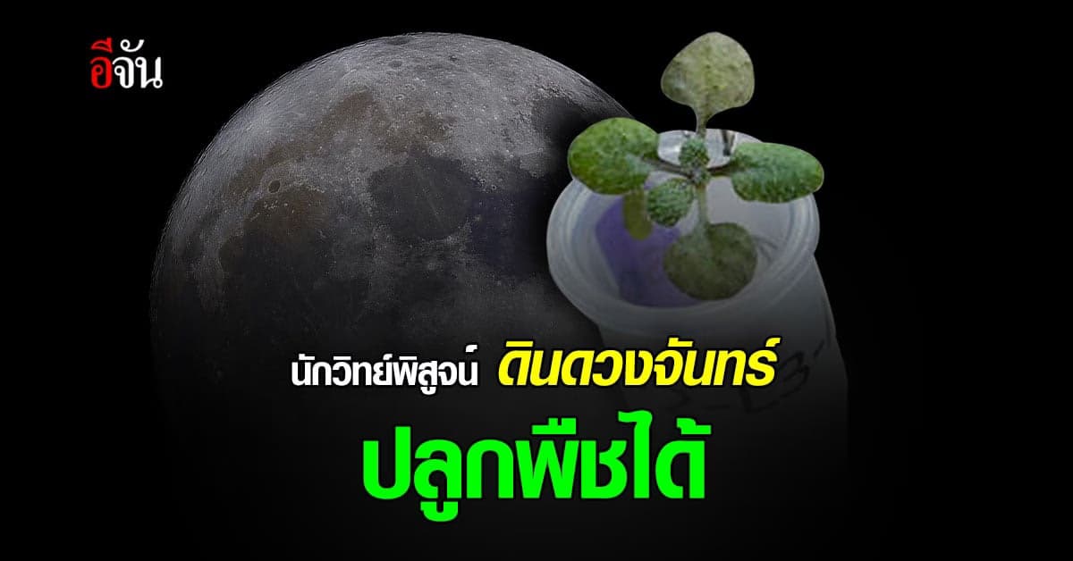 นักวิทยาศาสตร์ ประสบความสำเร็จในการปลูกพืชในดิน ดวงจันทร์ เป็นครั้งแรก