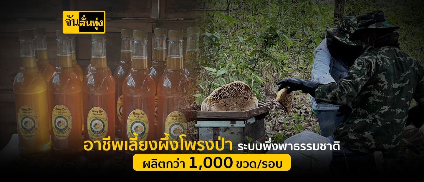 เลี้ยงผึ้งด้วยระบบพึ่งพาธรรมชาติ ยอดสั่งจอง 1,000 ขวด