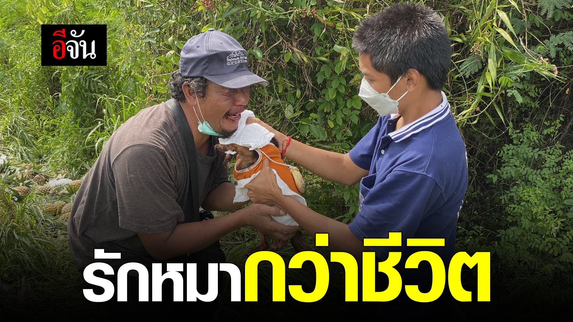 🎬 รักหมาเท่าชีวิต