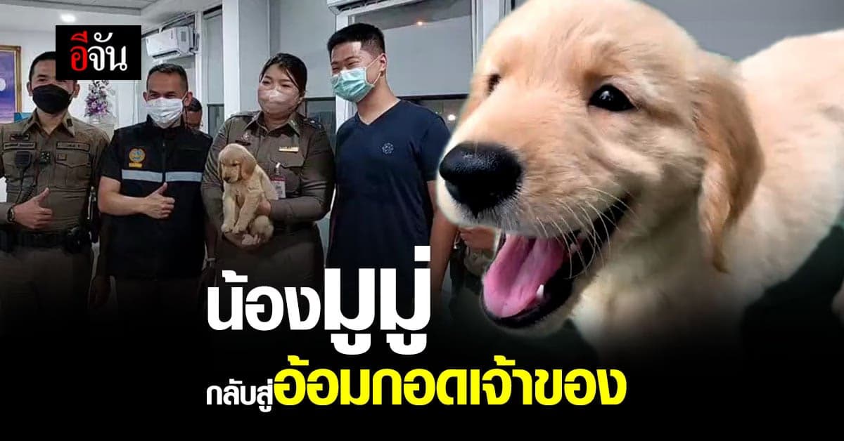 เจ้ามูมู่ กลับสู่ อ้อมกอด เจ้าของ แล้ว หลังพลัดหลงนาน 1 คืน