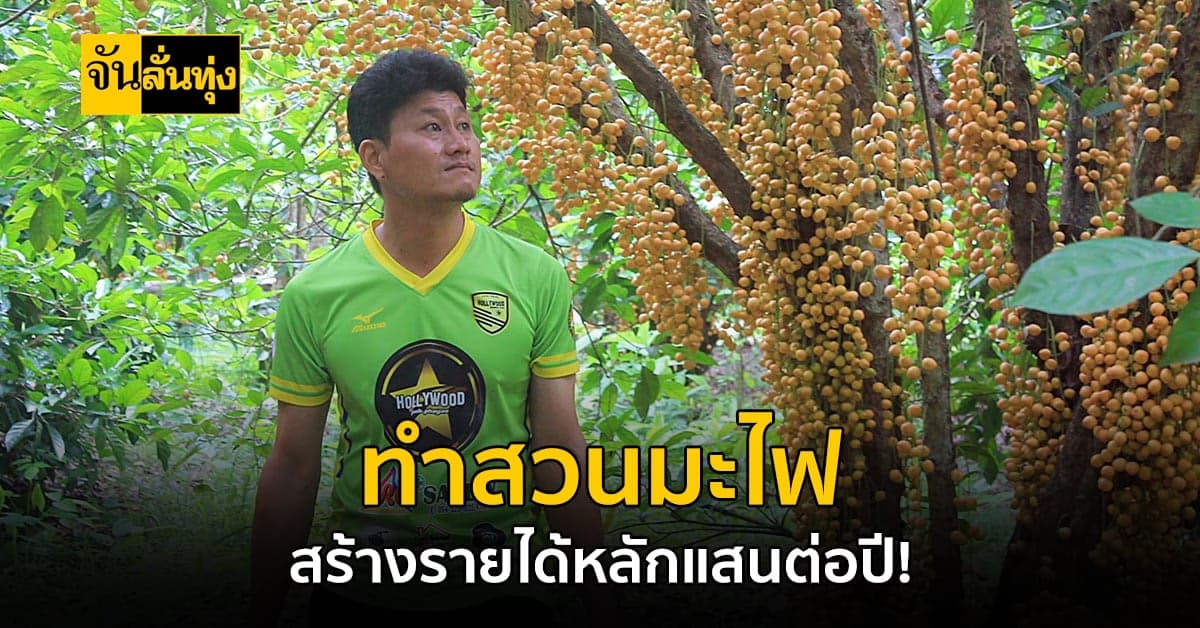 เกษตรกรหนุ่มรุ่นใหม่ ทำสวนมะไฟสร้างรายปีละ 3 แสนบาท