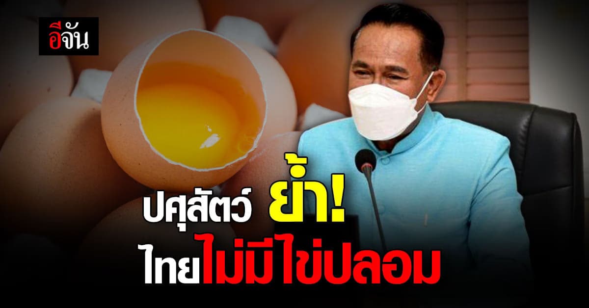 ปศุสัตว์ เตือนผู้บริโภคอย่าตื่นตระหนก ประเทศไทย ไม่มีไข่ไก่ปลอม