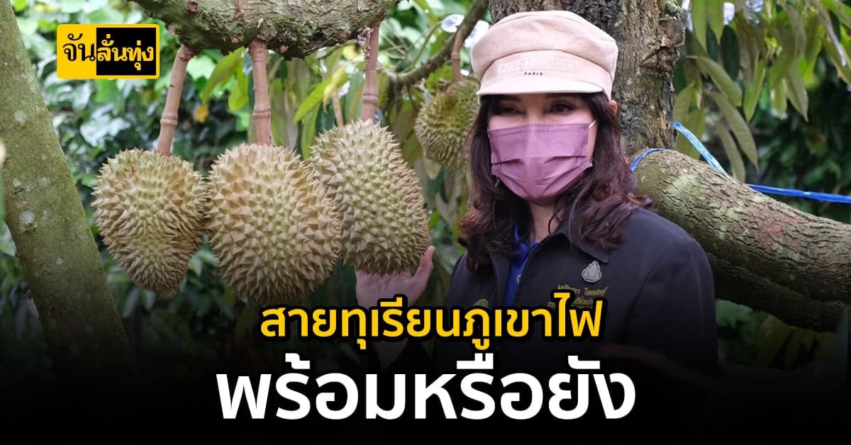 สาวก ทุเรียนภูเขาไฟ เตรียมตัวให้พร้อม ปลายเดือนมิถุนายน เจอกัน