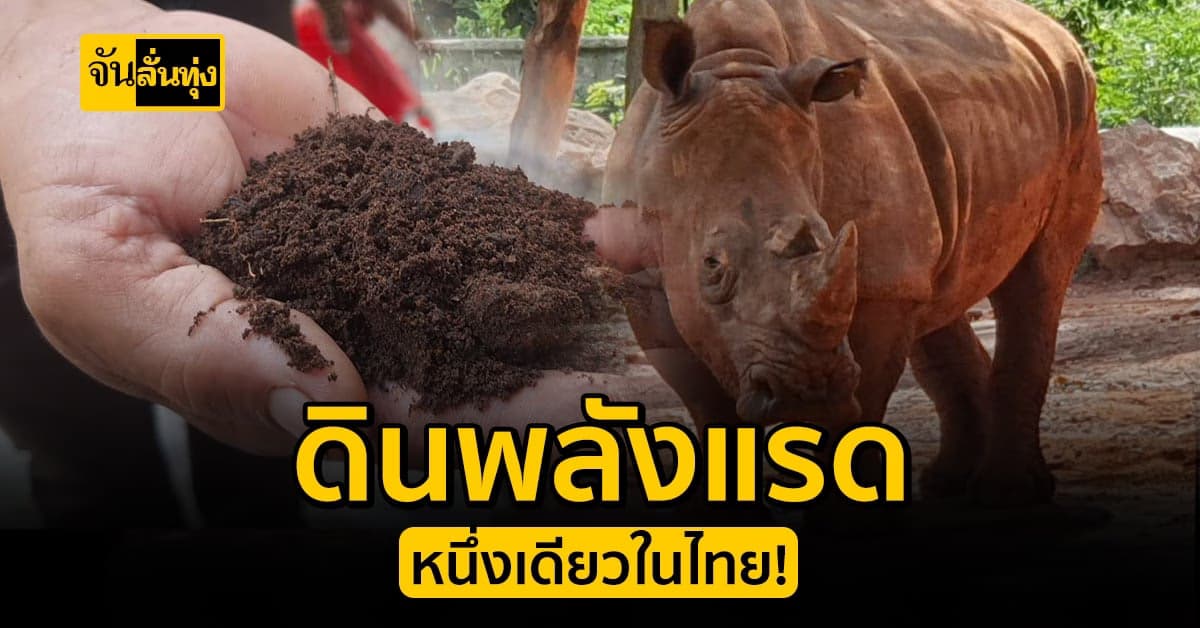 สวนสัตว์โคราชเจ๋ง! ผลิต ดินพลังแรด หนึ่งเดียวในไทย