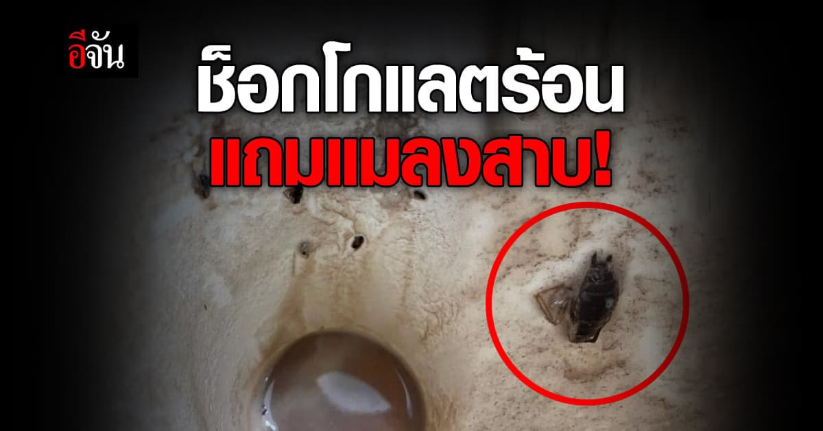 ขมคอแทบอ้วก! สาวซื้อช็อกโกแลตร้อนเจ้าดัง เจอแมลงสาบเต็ม