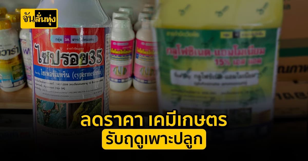 ช่วยเกษตรกร! ขยายเวลา ลดราคา เคมีเกษตร รับฤดูการเพาะปลูก