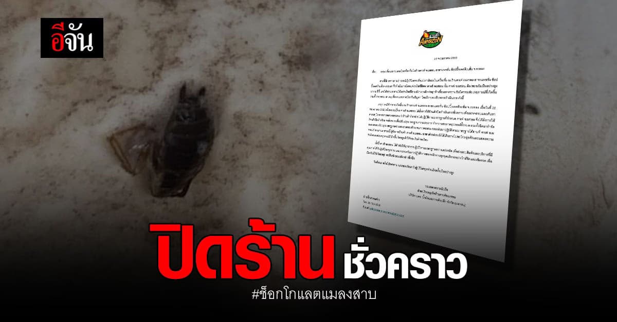 คาเฟ่เจ้าดัง ขอโทษลูกค้า ปมช็อกโกแลตแมลงสาบ