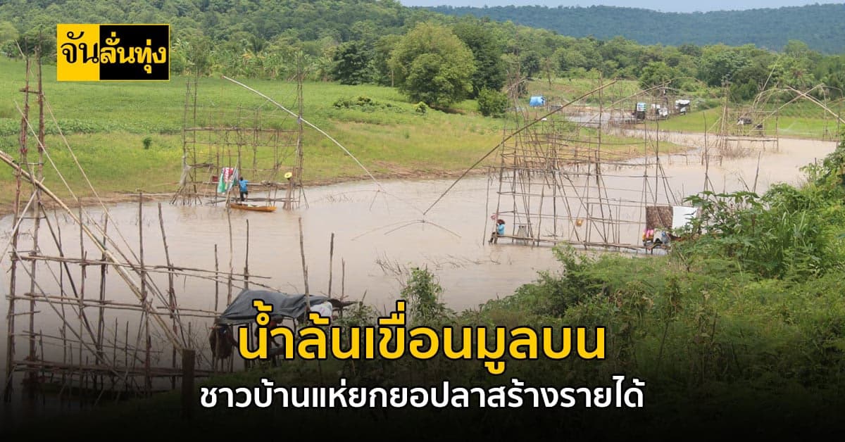 ต้นฤดูฝน ชาวโคราชแห่ยกยอหาปลา เหนือเขื่อนมูลบน