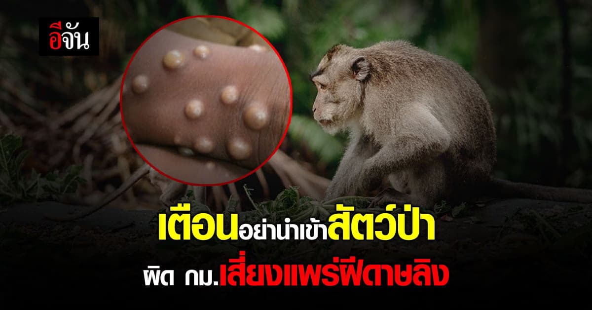 นายกฯ เตือน ห้ามนำเข้าสัตว์ป่า ผิดกฎหมาย เสี่ยงแพร่ระบาด โรคฝีดาษลิง