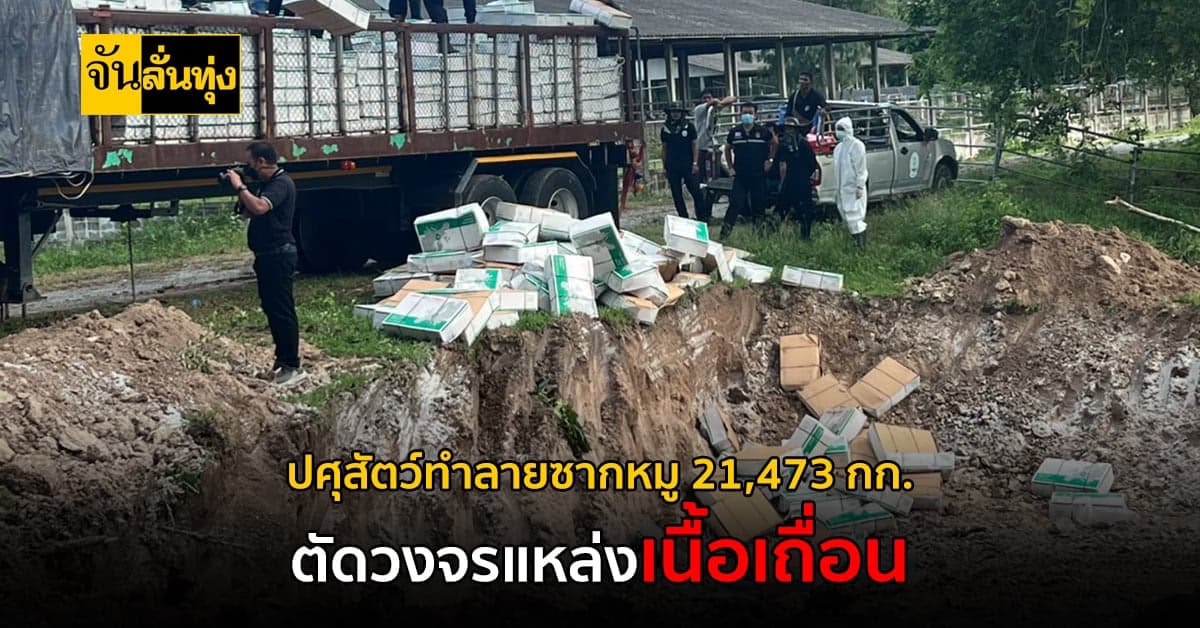 ปศุสัตว์บุกทำลายซากหมู 21,473 กก. ตัดวงจรแหล่งเนื้อเถื่อน