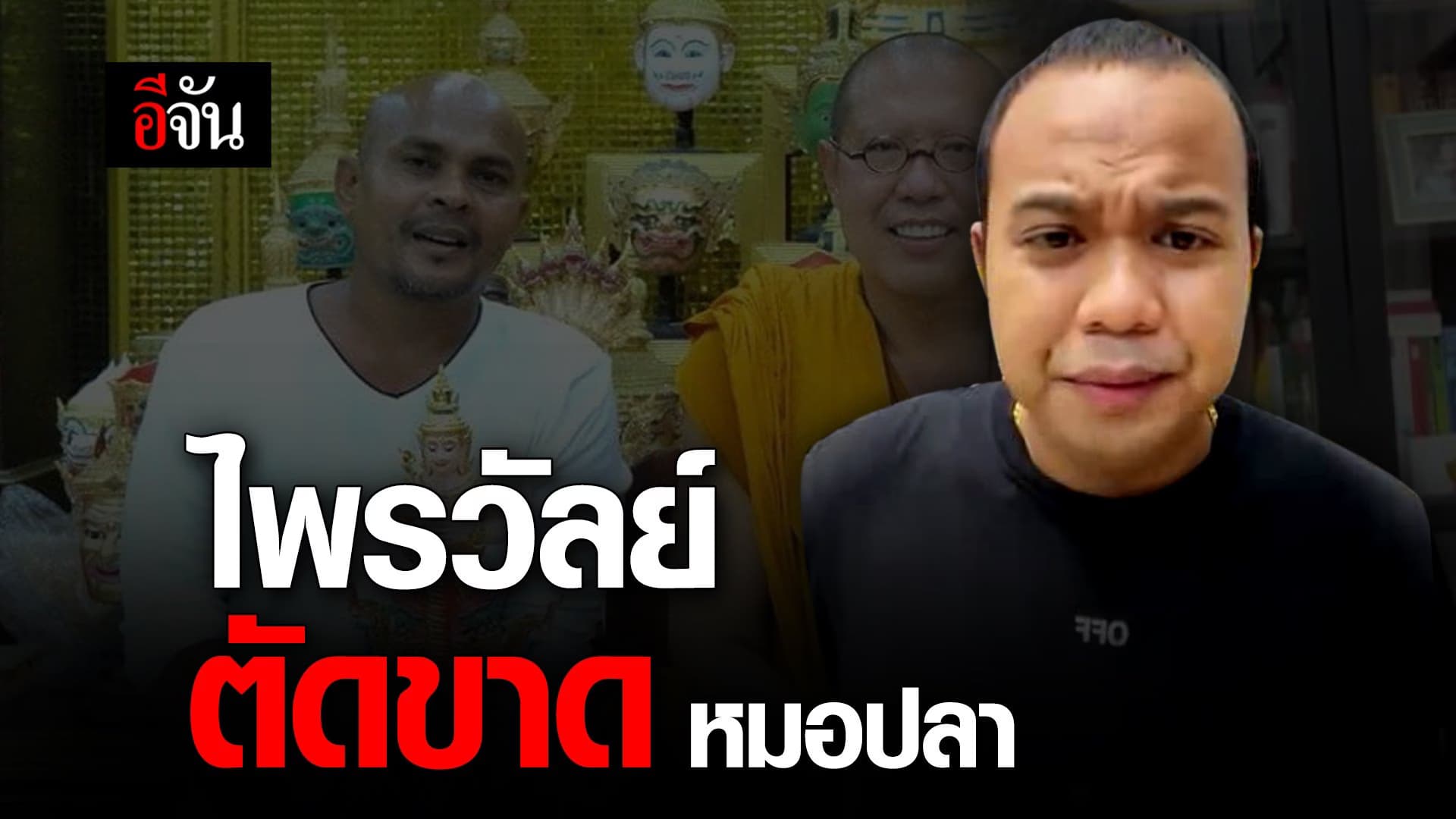 🎬 ไพรวัลย์ ตัดขาด หมอปลา