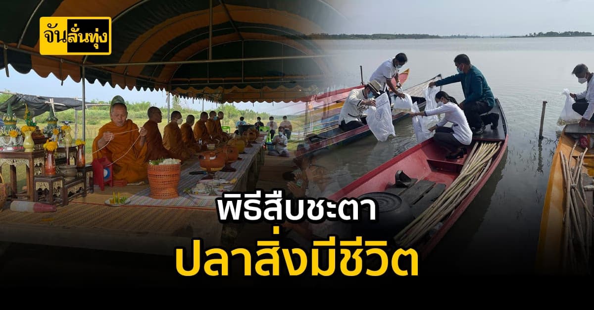 กาฬสินธุ์ชาวประมงริมเขื่อนลำปาวทำพิธีสืบชะตาปลาสิ่งมีชีวิต