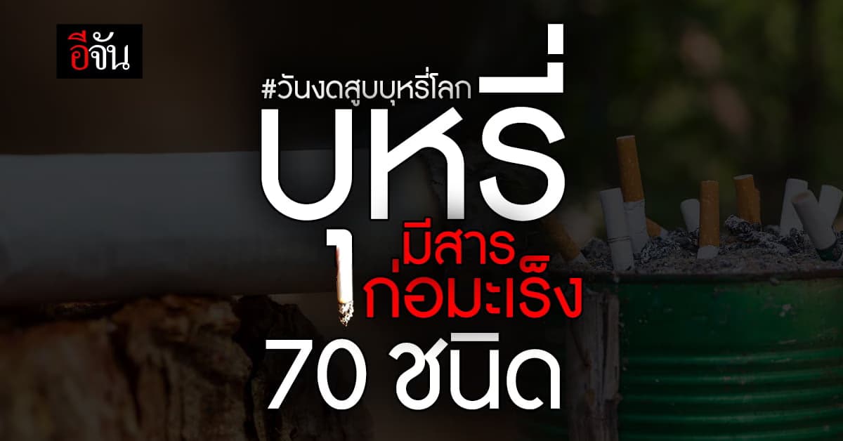 เลิกเถอะ! บุหรี่มีสารก่อมะเร็ง 70 ชนิด ทำลาย 12 อวัยวะในร่างกาย