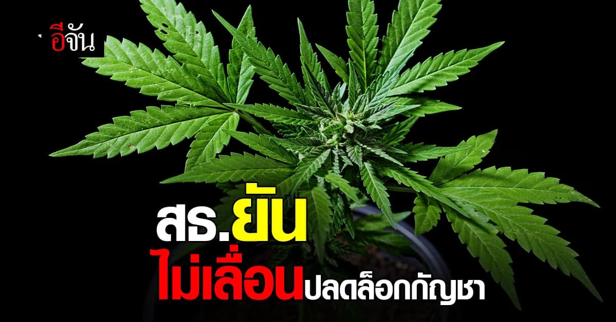 อนุทินยัน ไม่เลื่อนปลดล็อกกัญชา เตรียมพิจารณาร่างประกาศกลิ่นและควัน