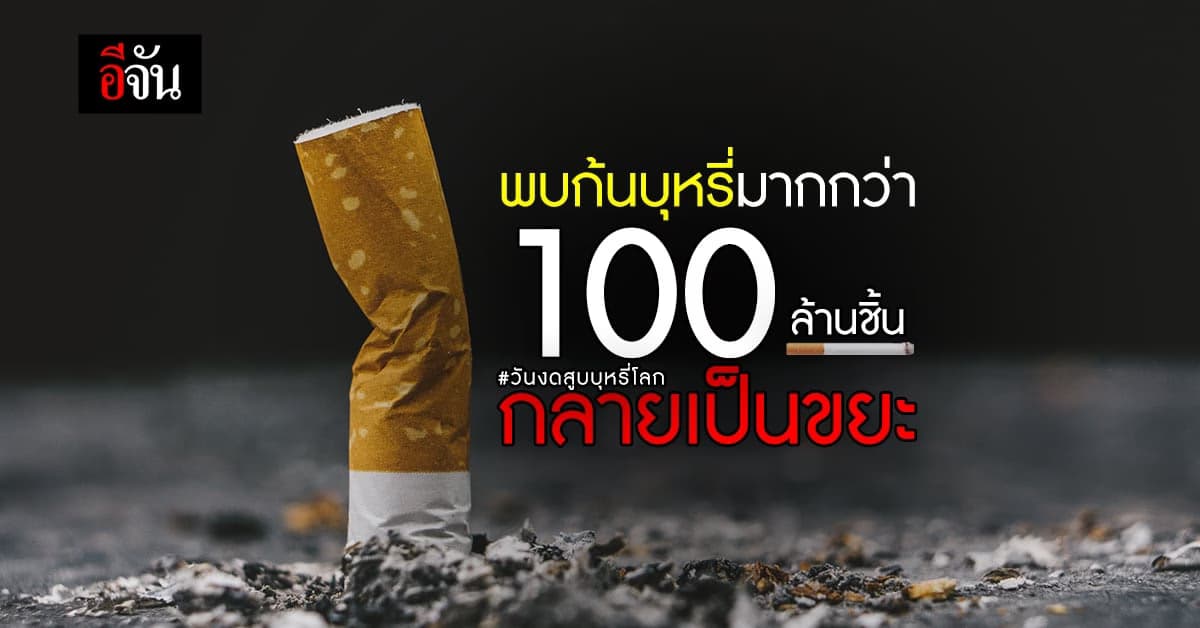 ในประเทศไทย พบก้นบุหรี่มากกว่า 100 ล้านชิ้น กลายเป็นขยะ