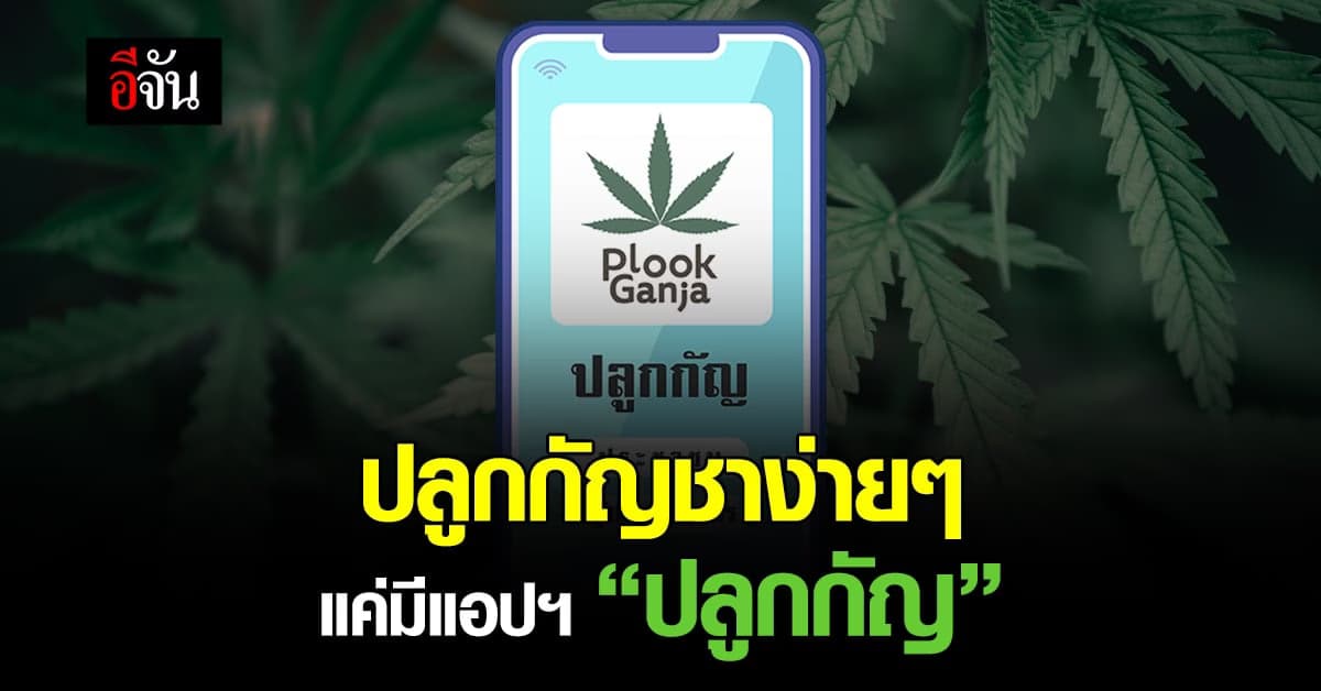 อย. เปิดตัวแอปพลิเคชั่น ปลูกกัญ ช่วยประชาชนแจ้งการปลูก กัญชา