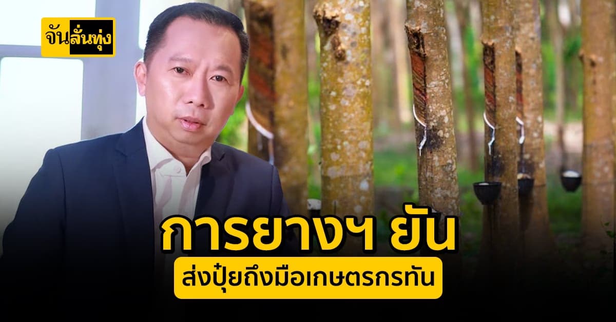 การยางแห่งประเทศไทย ยัน หาปุ๋ยให้เกษตรกรชาวสวนยางทันแน่นอน