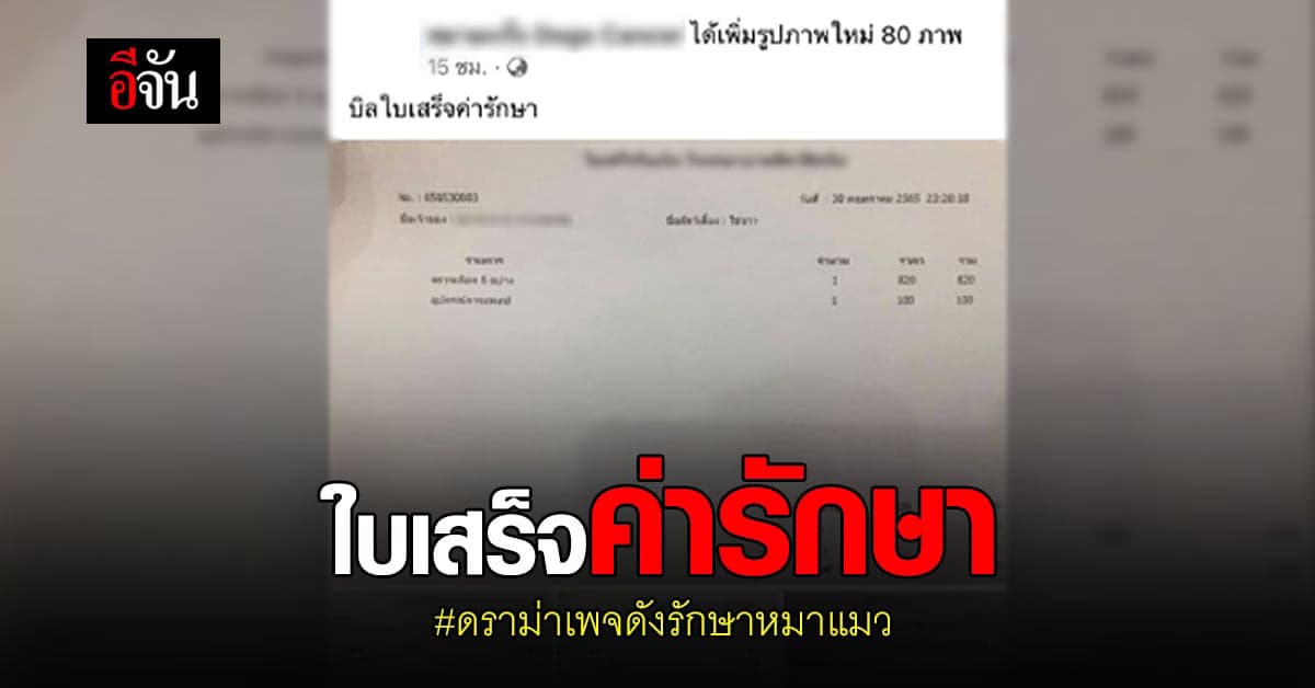 โซเชียลไม่เชื่อ เพจดังรักษาหมาแมว โชว์ใบเสร็จ ลั่นของปลอม!