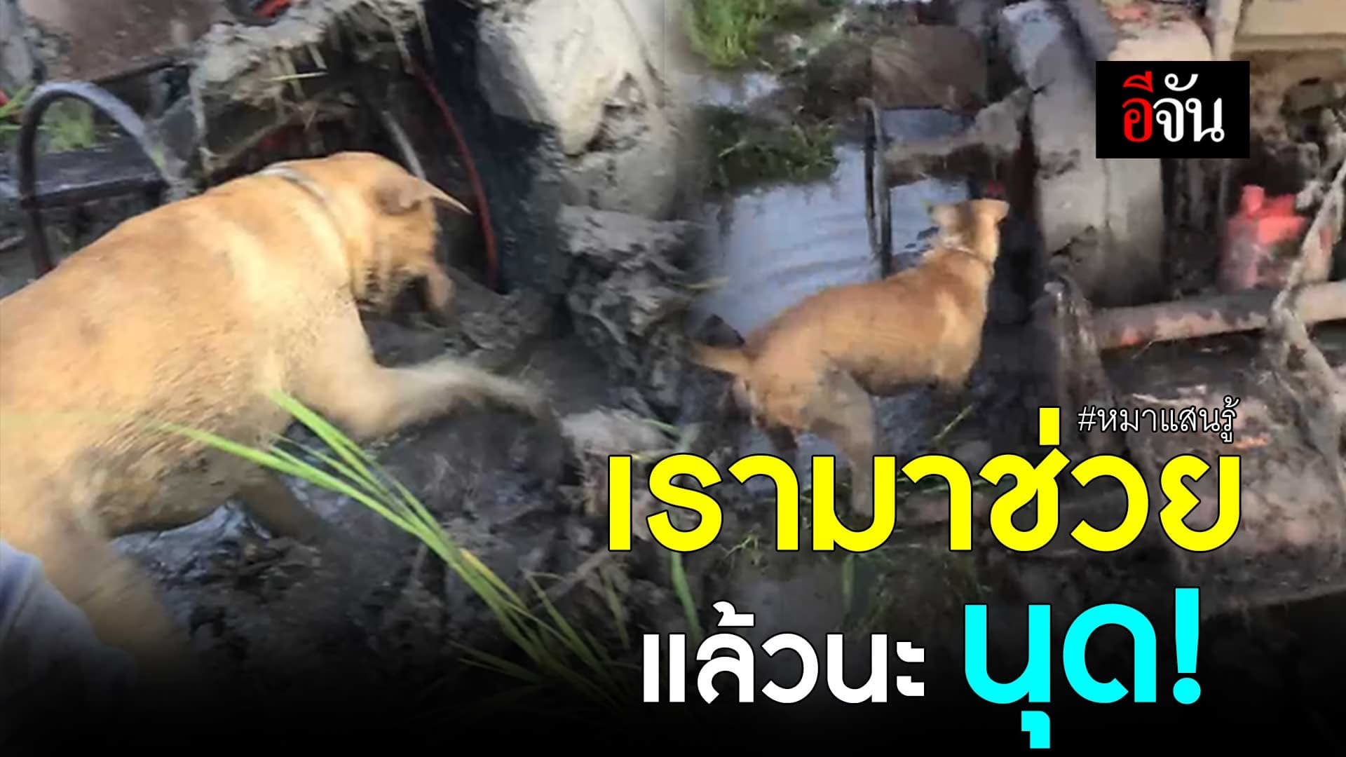 🎬 เรามาช่วยแล้วนะ นุด!