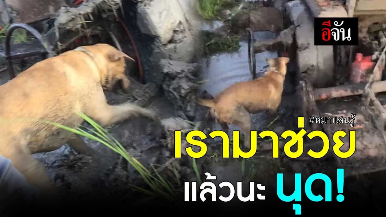 🎬 เรามาช่วยแล้วนะ นุด!