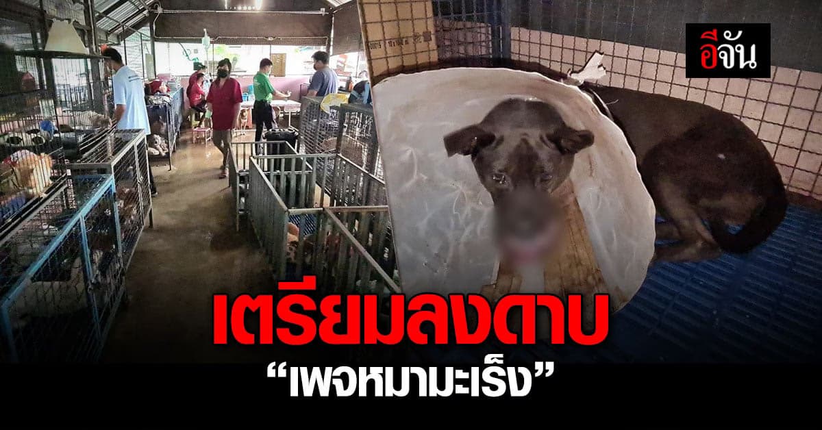 เตรียมลงดาบ สถานพักพิงหมามะเร็ง ให้ ออกนอกพื้นที่ใน 6 เดือน
